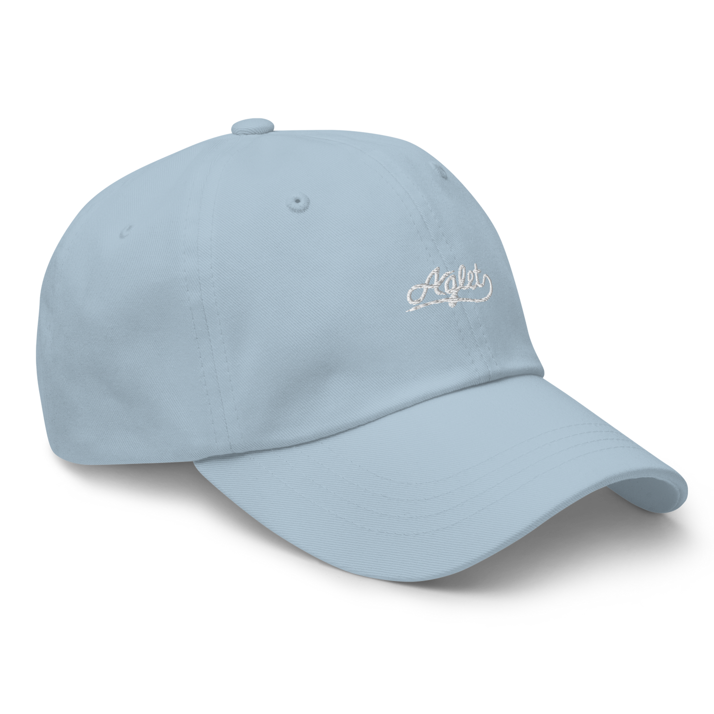 Embroidered Aglet Dad Hat