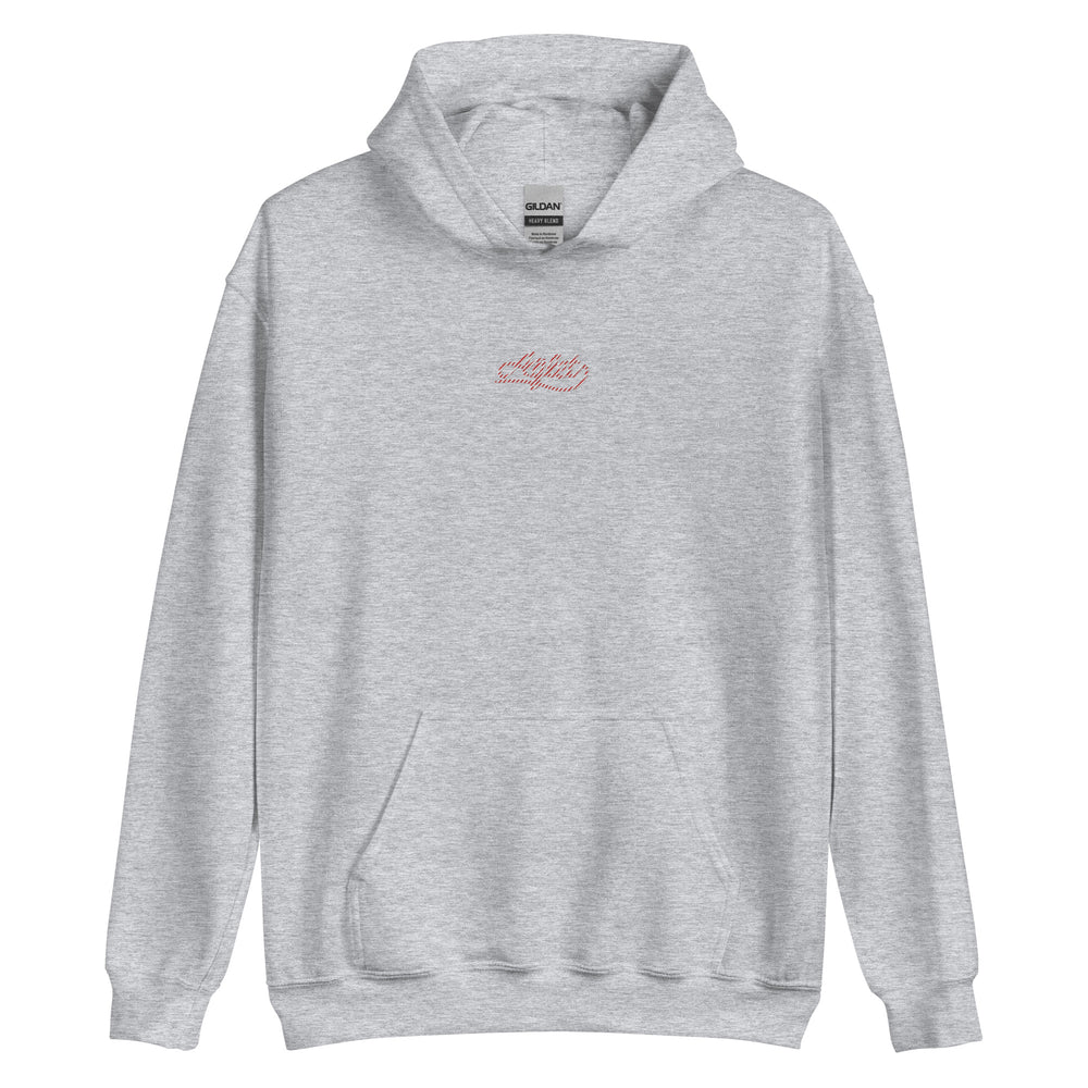 Candy Cane Aglet Embroidered Hoodie